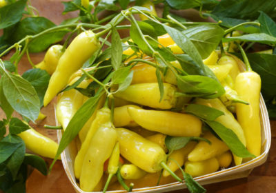 evibi Lemon Drop 2019